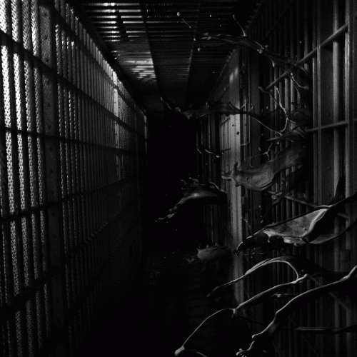 Regional Justice Center : Institution Regional Justice Center : Institution